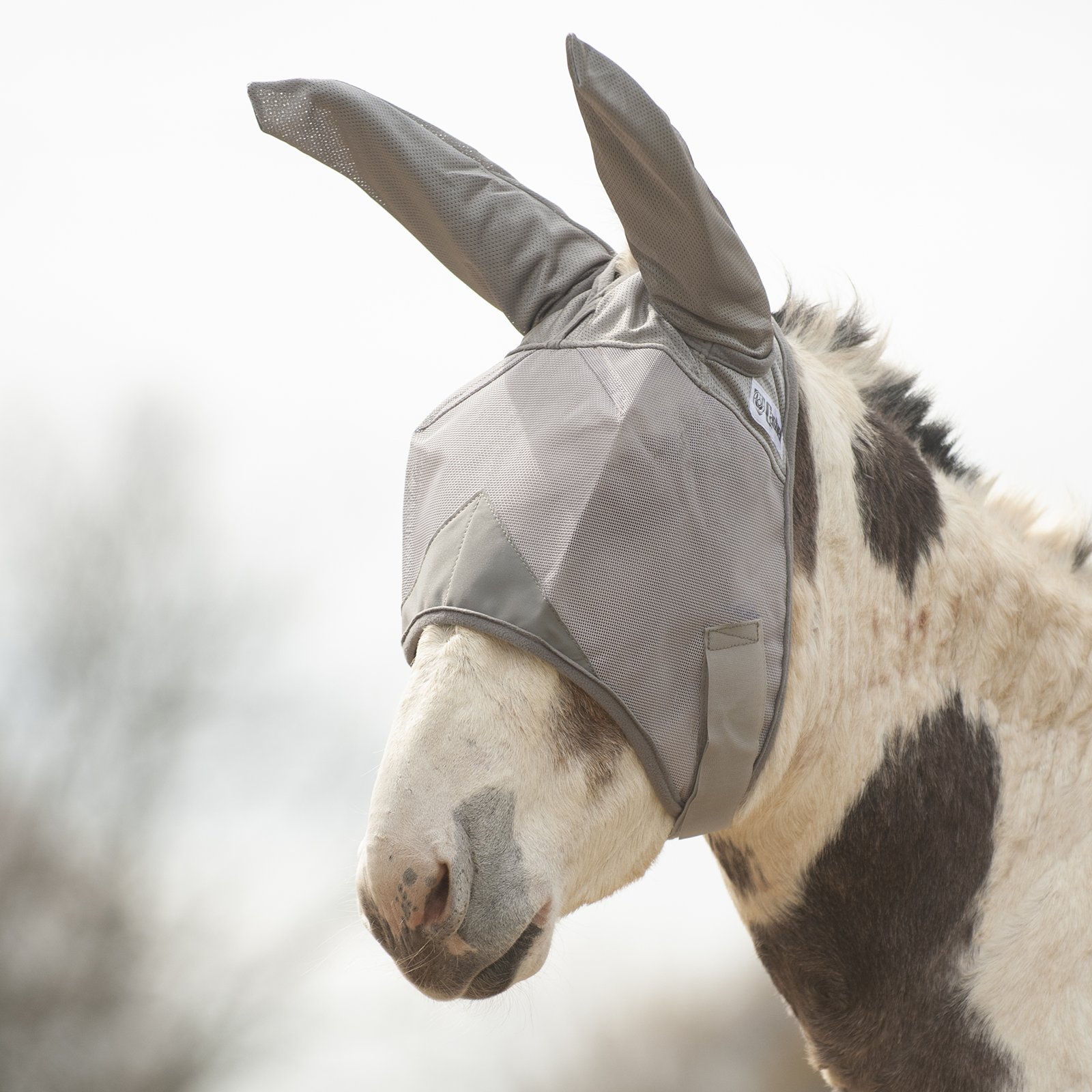 ELENDEEK Wave Cutting Mule